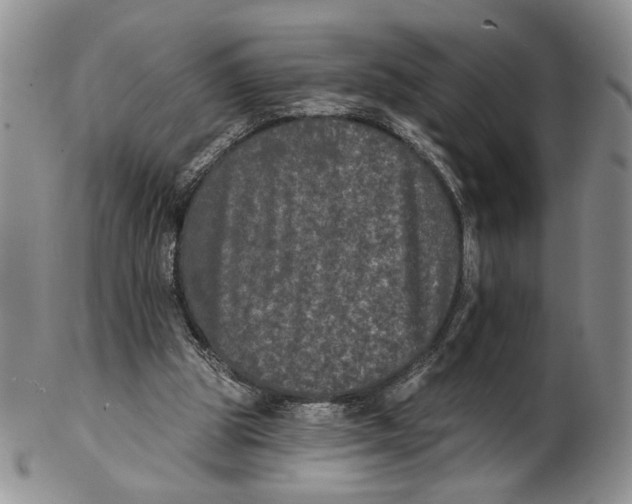 X0000102240153200808221338