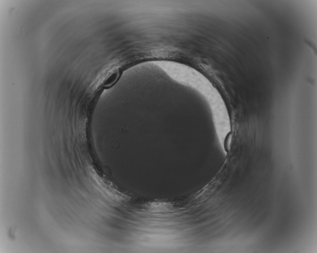 X0000102240154200808221338