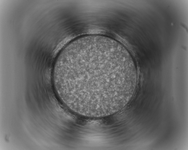 X0000102240155200808221338