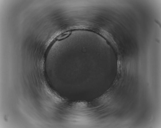 X0000102240156200808221338