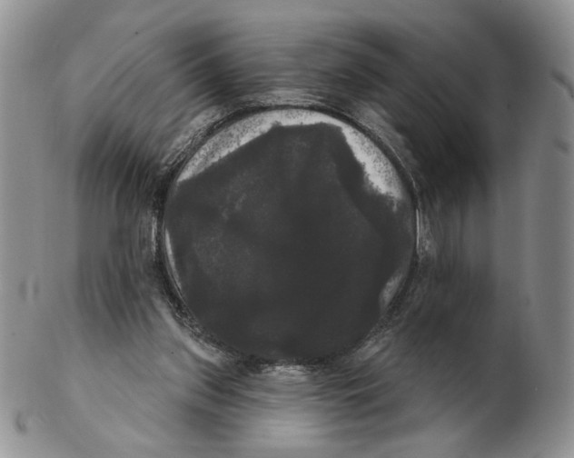 X0000102240157200808221338