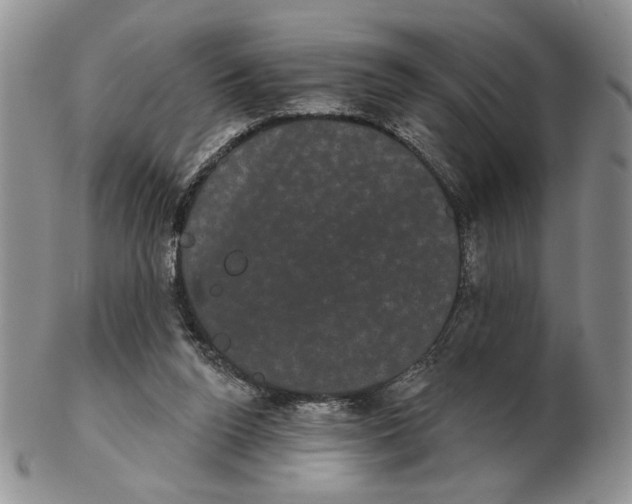 X0000102240160200808221338