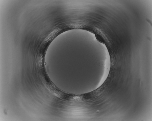 X0000102240163200808221338