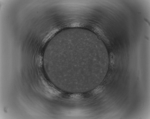 X0000102240164200808221338