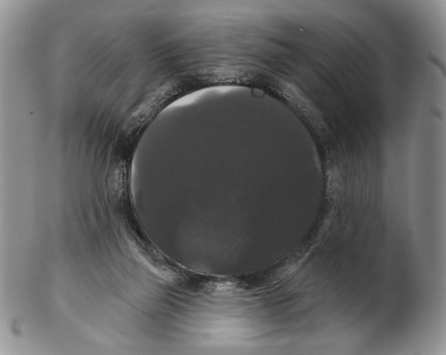 X0000102240165200808221338