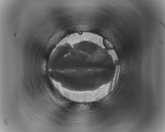 X0000102240166200808221338