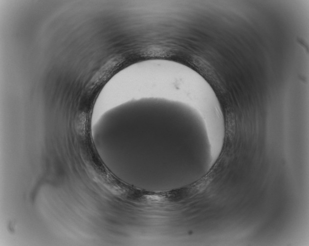 X0000102240167200808221338