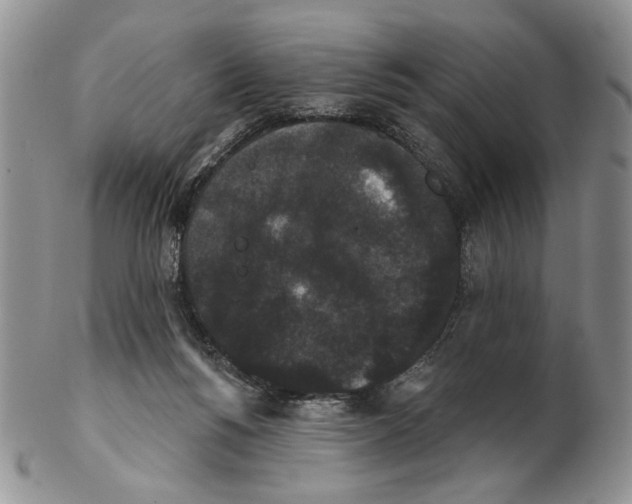 X0000102240168200808221338