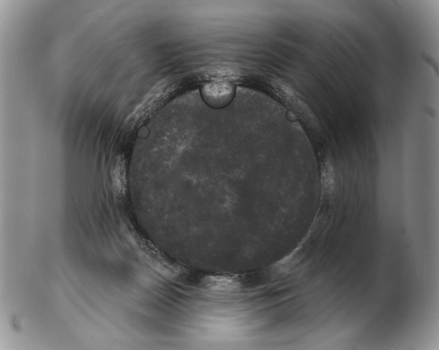 X0000102240170200808221338