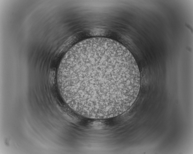 X0000102240171200808221338