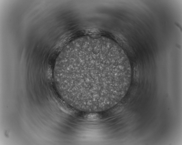 X0000102240173200808221338