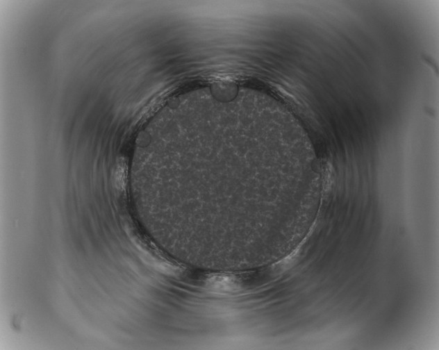 X0000102240174200808221338