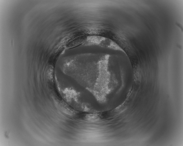 X0000102240175200808221338