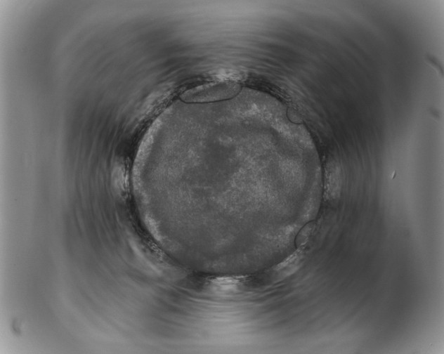 X0000102240176200808221338