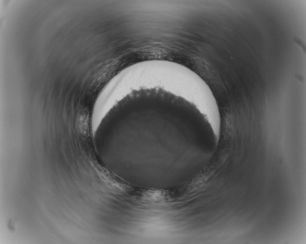 X0000102240177200808221338