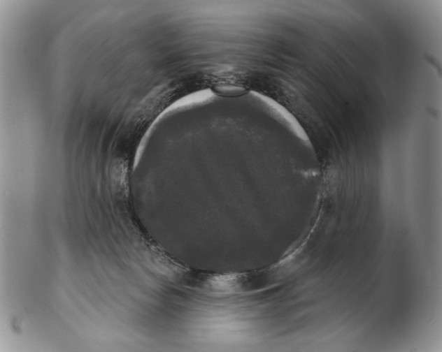 X0000102240178200808221338