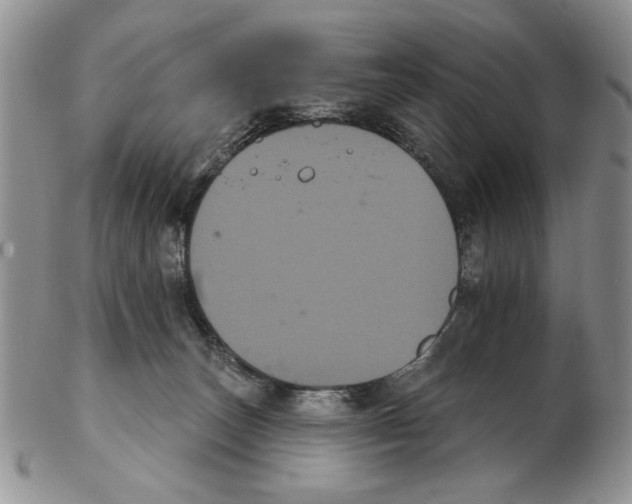 X0000102240179200808221338