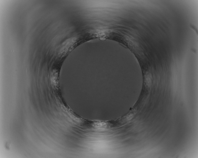 X0000102240181200808221338