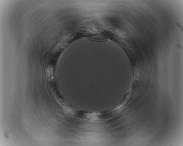 X0000102240182200808221339