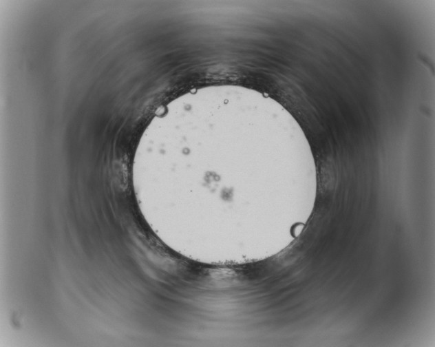 X0000102240183200808221339