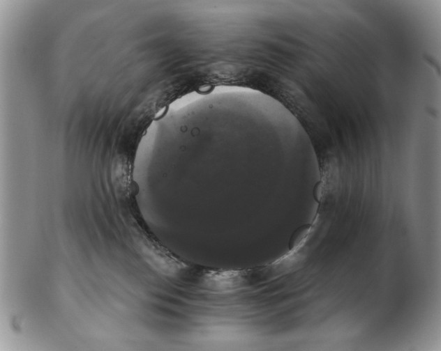 X0000102240186200808221339