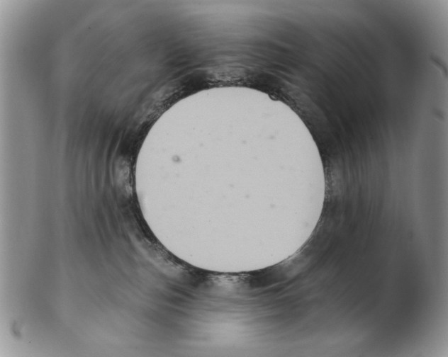 X0000102240187200808221339