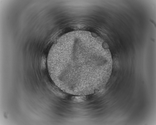 X0000102240188200808221339