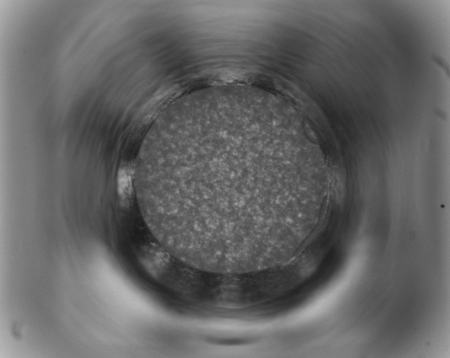 X0000102240191200808221339