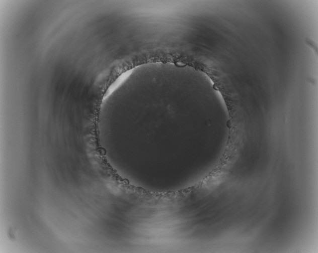 X0000102240192200808221339