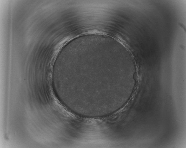 X0000102240193200808221338