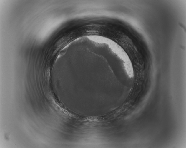 X0000102240194200808221338