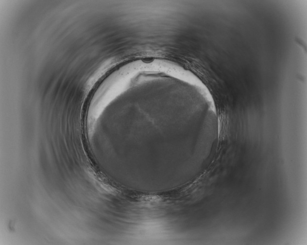 X0000102240195200808221338