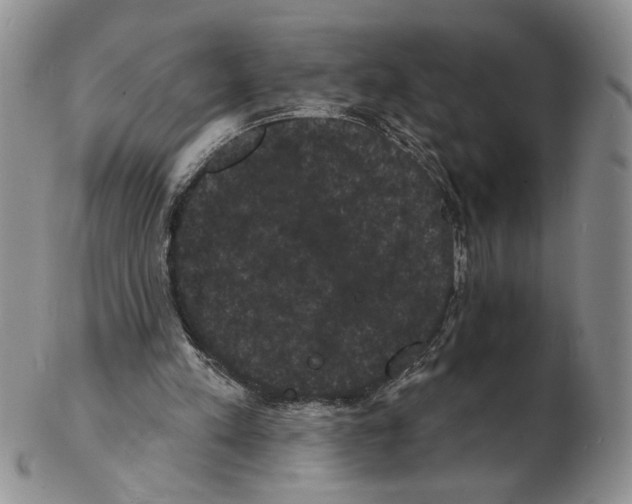 X0000102240197200808221338