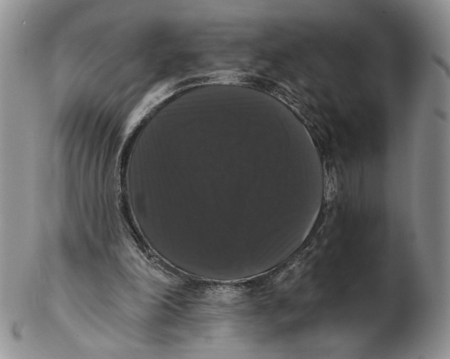 X0000102240198200808221338