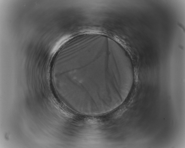 X0000102240199200808221338