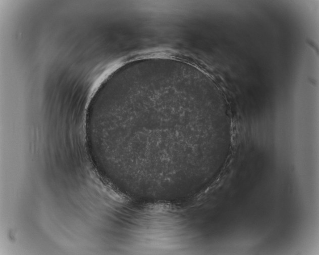 X0000102240200200808221338