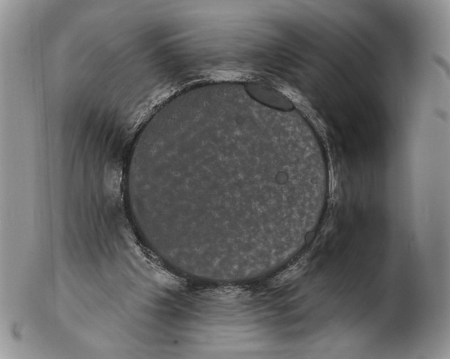 X0000102240201200808221338