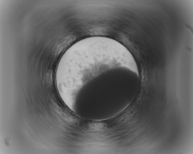 X0000102240202200808221338