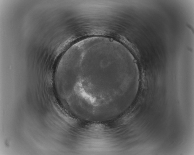 X0000102240203200808221338