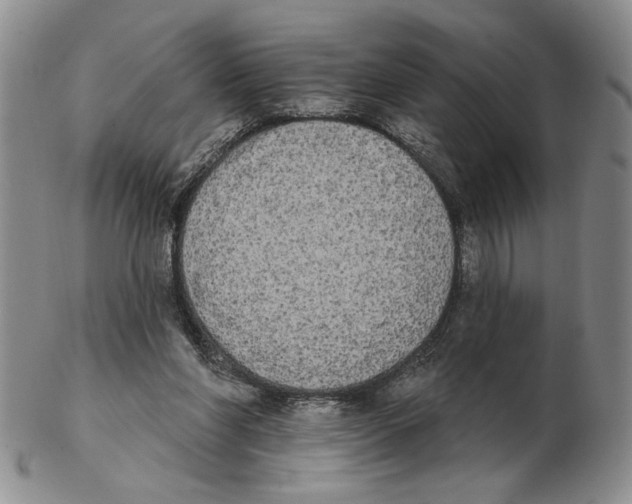 X0000102240206200808221338