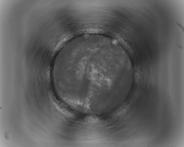 X0000102240207200808221338