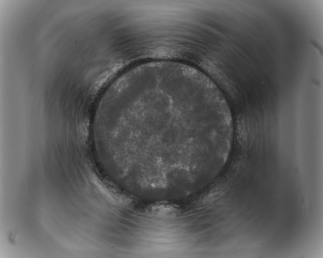 X0000102240208200808221338