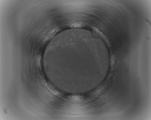 X0000102240209200808221338