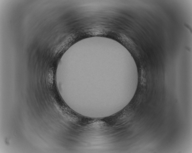 X0000102240210200808221338