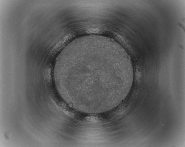 X0000102240211200808221338