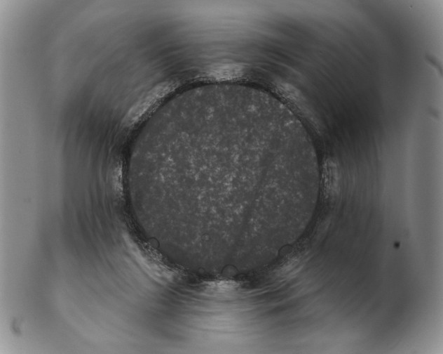 X0000102240212200808221338