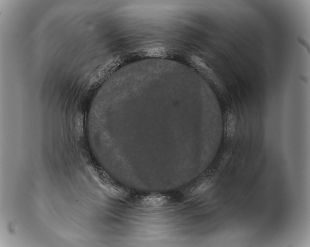 X0000102240213200808221338