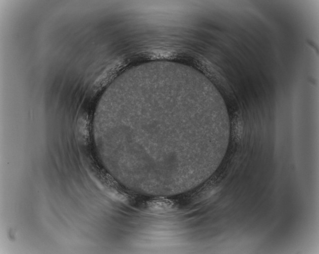 X0000102240215200808221338