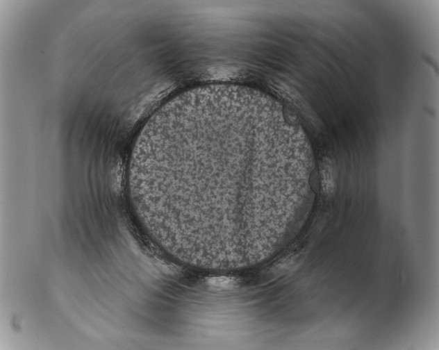 X0000102240216200808221338