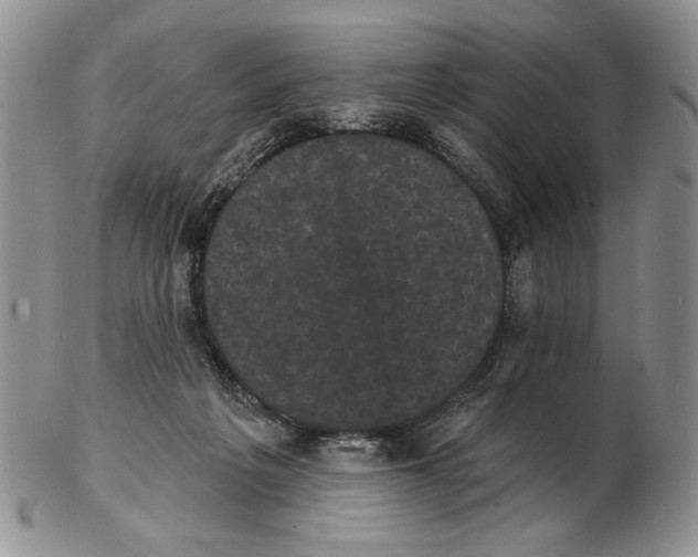 X0000102240217200808221338